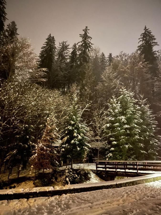 Vila De Argint Sinaia Exterior foto