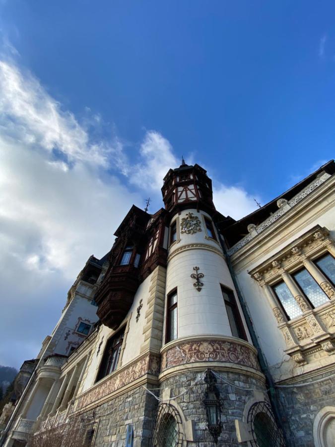 Vila De Argint Sinaia Exterior foto