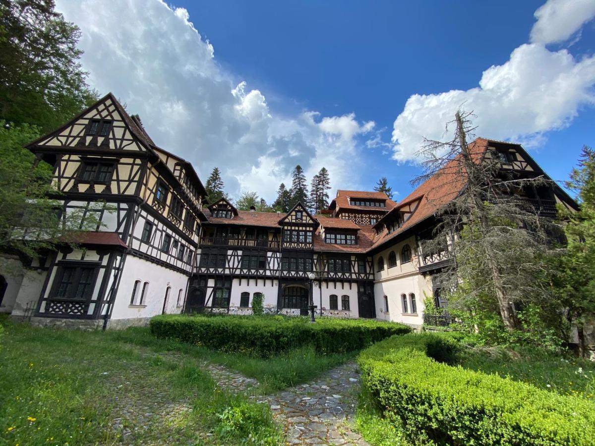Vila De Argint Sinaia Exterior foto