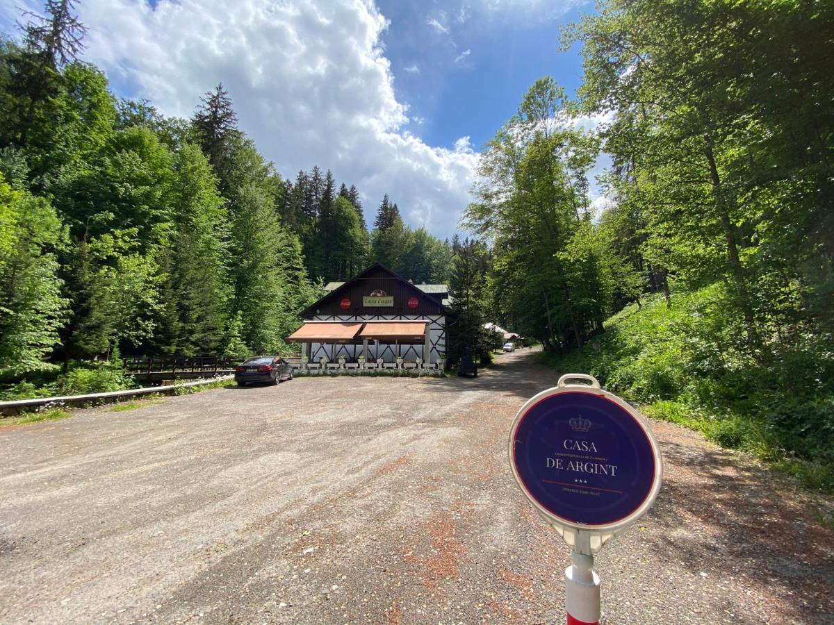 Vila De Argint Sinaia Exterior foto