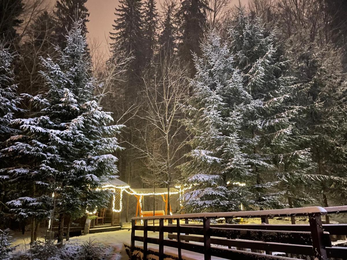 Vila De Argint Sinaia Exterior foto