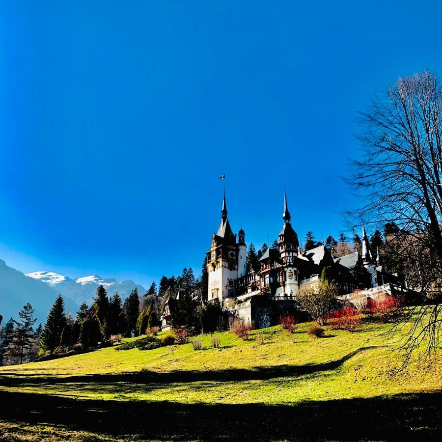 Vila De Argint Sinaia Exterior foto